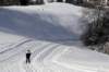 dsc05196_small.jpg