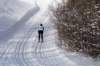 dsc05198_small.jpg