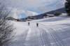 dsc05208_small.jpg