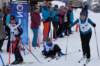 dsc05291_small.jpg