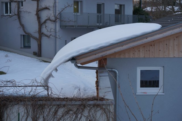 dsc00001.jpg