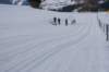 dsc00016_small.jpg