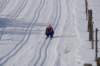 dsc00036_small.jpg