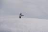 dsc00127_small.jpg