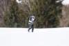 dsc00157_small.jpg