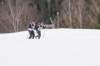 dsc00161_small.jpg