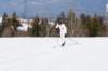 dsc00172_small.jpg