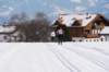 dsc00181_small.jpg