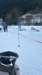 img20240204wa0025_small.jpg